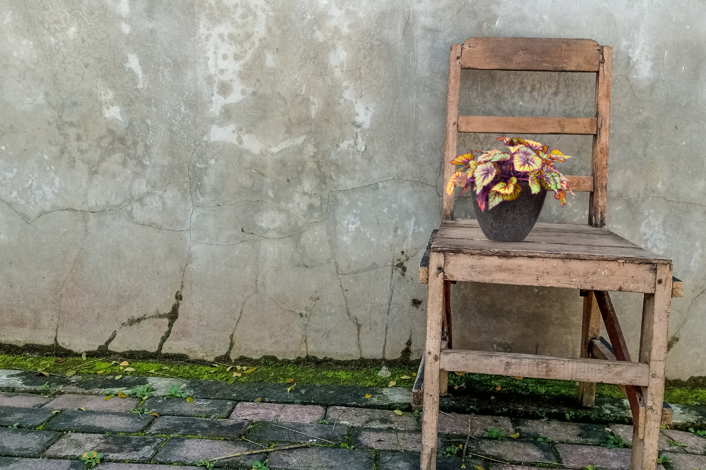 une chaise vide avec un pot de coleus pour illustrer les deuils invisibles